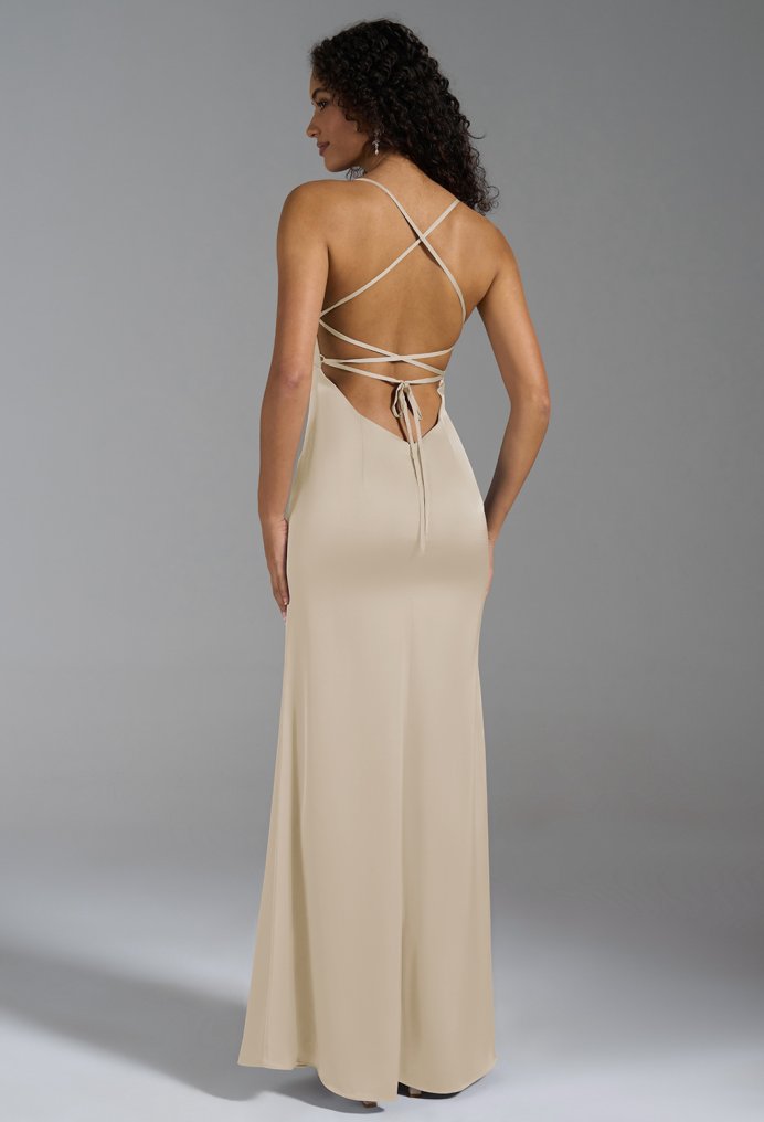 AW Shane Dress